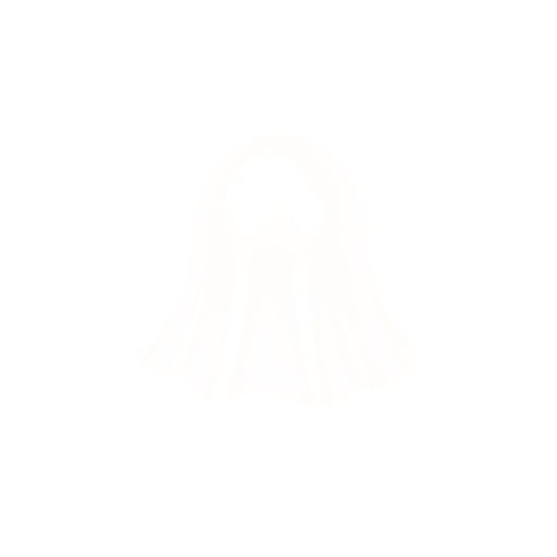 GhostVPN